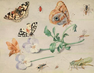 Undersøgelse af insekter og blomster